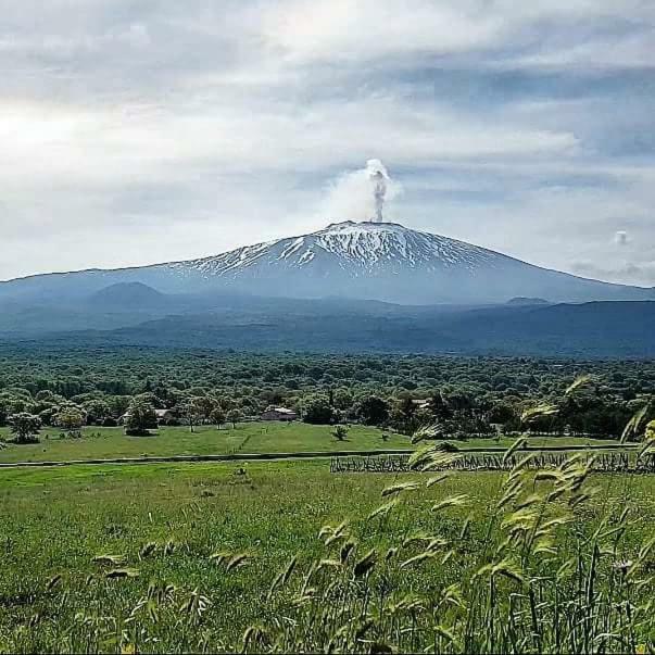 Puntalazzo Vecchio Fornoヴィラ エクステリア 写真